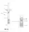 Fig. 11 - Reconstitution device with tip cap