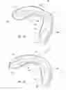 Fig. 02 - Dental bleaching compositions with rheological stability