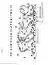 Fig. 08 - SYSTEMS FOR TREATING PULMONARY INFECTIONS