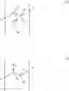 Fig. 04 - DOSAGE FORMS COMPRISING APIXABAN AND MATRIX FORMER