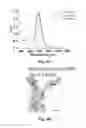 Fig. 06 - Blood clotting control