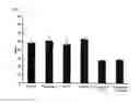 Fig. 02 - NOVEL TRIGLYCERIDE REDUCING AGENT