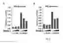 Fig. 08 - Method for treating prostate cancer