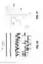 Fig. 04 - NOVEL NON-SELECTIVE CATION CHANNEL IN NEURONAL CELLS AND METHODS FOR TREATING BRAIN SWELLING
