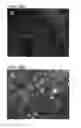Fig. 32 - NOVEL NON-SELECTIVE CATION CHANNEL IN NEURONAL CELLS AND METHODS FOR TREATING BRAIN SWELLING