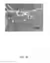Fig. 43 - NOVEL NON-SELECTIVE CATION CHANNEL IN NEURONAL CELLS AND METHODS FOR TREATING BRAIN SWELLING