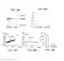 Fig. 46 - NOVEL NON-SELECTIVE CATION CHANNEL IN NEURONAL CELLS AND METHODS FOR TREATING BRAIN SWELLING