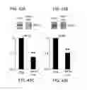 Fig. 49 - NOVEL NON-SELECTIVE CATION CHANNEL IN NEURONAL CELLS AND METHODS FOR TREATING BRAIN SWELLING