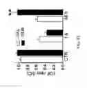 Fig. 50 - NOVEL NON-SELECTIVE CATION CHANNEL IN NEURONAL CELLS AND METHODS FOR TREATING BRAIN SWELLING