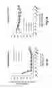 Fig. 02 - EXTENDED-RELEASE FORMULATION FOR REDUCING THE FREQUENCY OF URINATION AND METHOD OF USE THEREOF