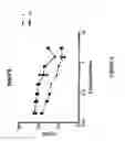 Fig. 07 - Antiviral supplement formulations