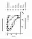 Fig. 09 - Antiviral supplement formulations