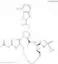 Fig. 09 - COMBINATION THERAPEUTIC COMPOSITION