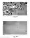 Fig. 06 - Method of inducing osteogensis and promoting osseointegration around an implant