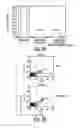 Fig. 06 - Mesenchymal Stem Cells and Uses Therefor