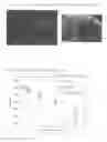 Fig. 02 - COMPOSITION COMPRISING CELL AND BIOCOMPATIBLE POLYMER