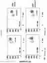 Fig. 12 - Methods to enhance T-cell mediated immune response
