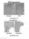 Fig. 02 - METHODS AND COMPOSITIONS FOR EXPANDING HEMATOPOIETIC STEM AND PROGENITOR CELLS