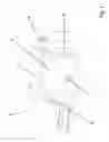 Fig. 02 - Device for artificial respiration