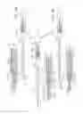 Fig. 08 - Endoscopy devices and applications thereof