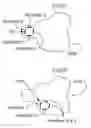 Fig. 07 - Method and means to adjust the positioning of stimulating neural and muscular electrode