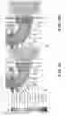 Fig. 09 - Device and method for deep transcranial magnetic stimulation