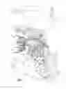 Fig. 07 - Air treatment system