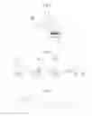 Fig. 02 - METHOD OF PRODUCING MATERIALS FOR DISPOSAL OF ANIMAL EXCREMENT