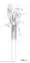 Fig. 02 - WRENCH