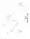 Fig. 03 - PNEUMATIC TOOL