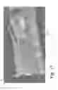Fig. 18 - Enhanced system and method for control of robotic devices