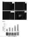 Fig. 09 - Bactericidal surface patterns