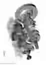 Fig. 09 - POWERTRAIN FOR INTERNAL-COMBUSTION ENGINE VEHICLE WITH COMBINATION OF PISTON ENGINE AND ROTARY ENGINE
