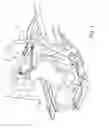 Fig. 02 - UPPER SEAT MOUNT FOR ADJUSTABLE SEATS AND METHOD OF USE THEREOF
