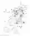 Fig. 01 - Front suspension structure for saddle riding type vehicle