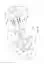 Fig. 09 - Bicycle crank assembly