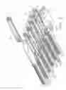 Fig. 03 - Method and apparatus for applying adhesive to a moving web being wound into a roll