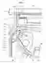 Fig. 09 - Image forming apparatus having first conveying path, re-conveying path, and second conveying path