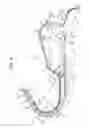 Fig. 07 - Recording apparatus