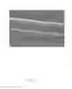 Fig. 08 - Method of growing carbon nanotube using reactor