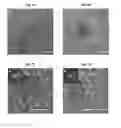 Fig. 09 - Nanoscale diamond particles and method of forming nanoscale diamond particles