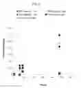 Fig. 08 - POROUS METAL CERAMIC MATERIALS AND METHODS FOR MAKING AND USING THE SAME