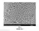 Fig. 02 - Thermal history-based etching