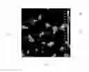 Fig. 04 - Sintered zircon material for forming block