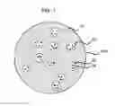 Fig. 02 - PLANT GROWTH ENHANCER