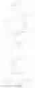 Fig. 07 - PYRROLIDINES