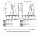 Fig. 02 - Modulators of resistant androgen receptor