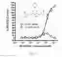 Fig. 02 - Wee1 degradation inhibitors