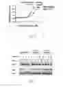Fig. 07 - Wee1 degradation inhibitors