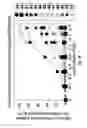 Fig. 04 - Conformationally-constrained kinked endosomal-disrupting peptides